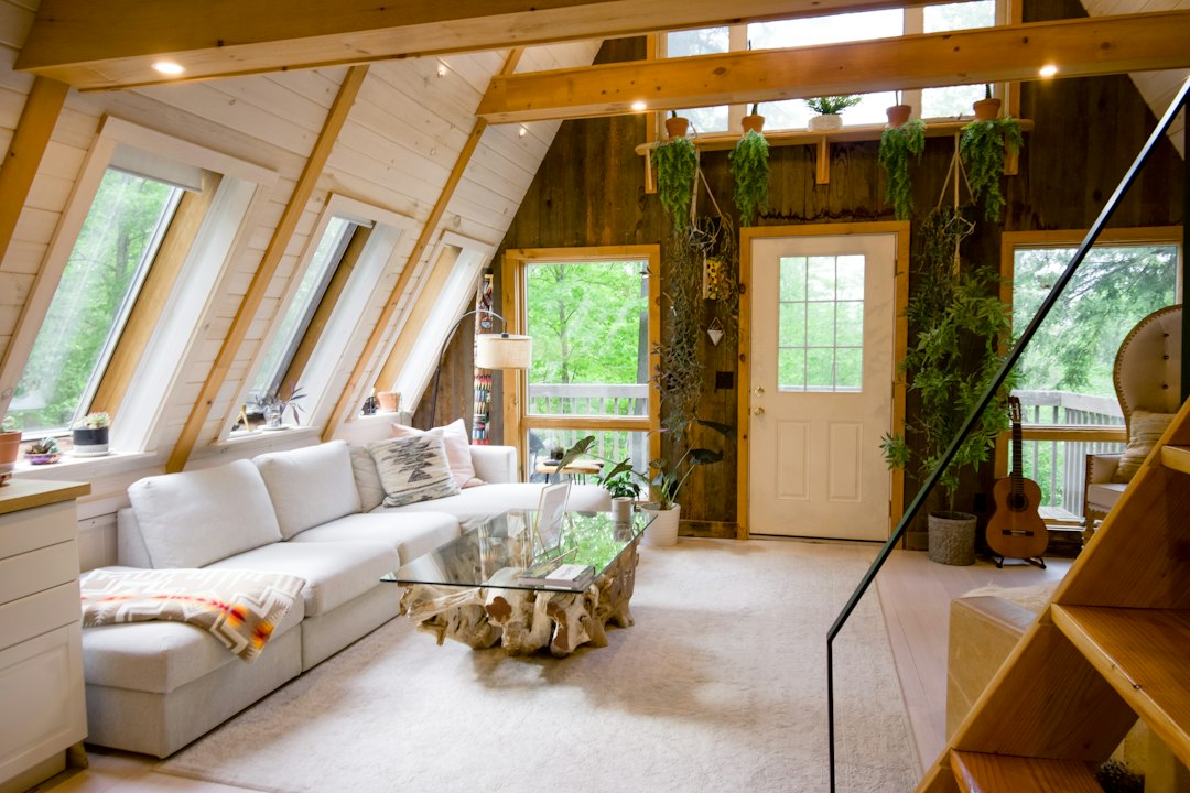Cozy living room interior with sofa near window