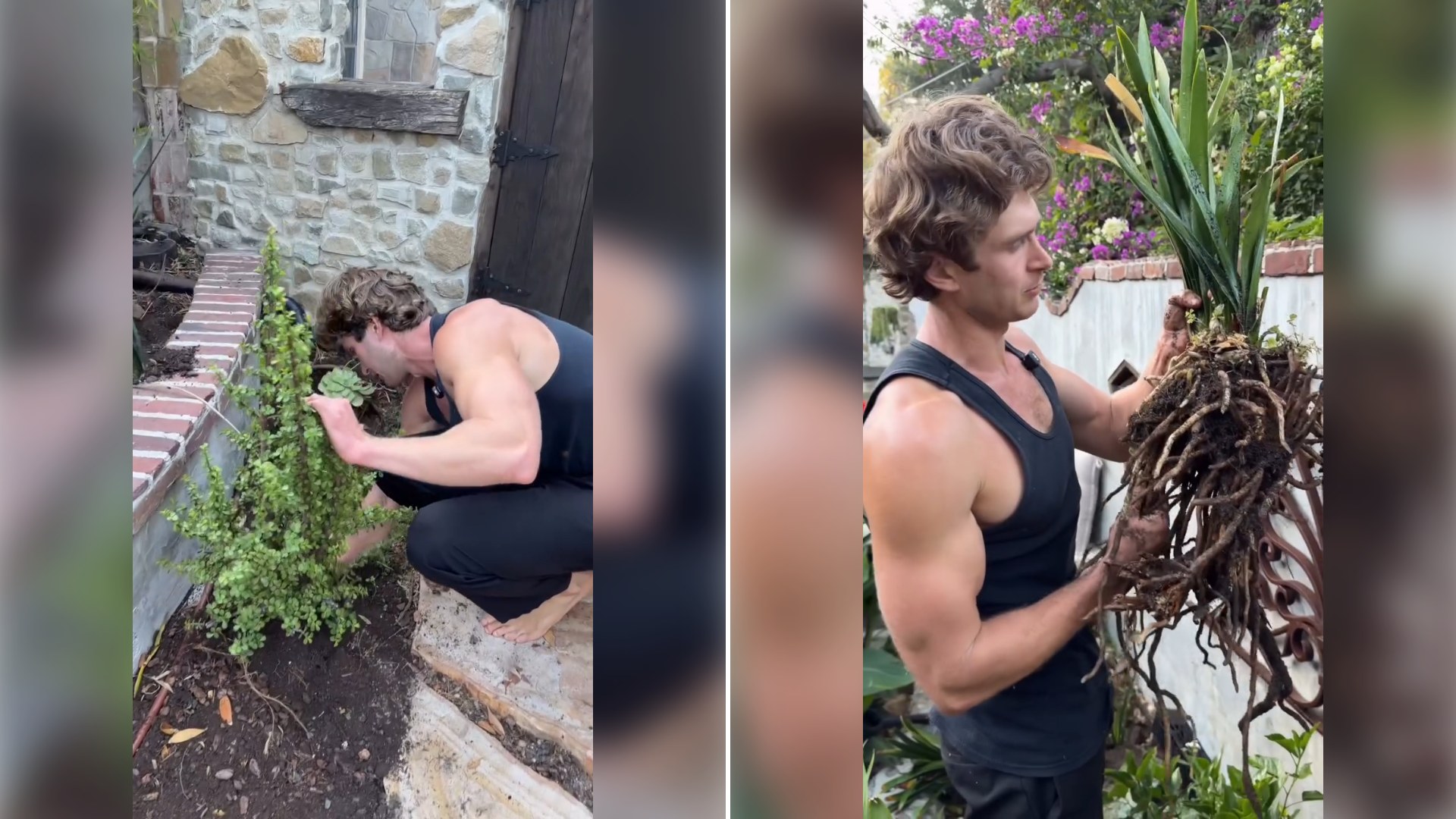 Two stills from an Instagram reel by @thehhcastle.