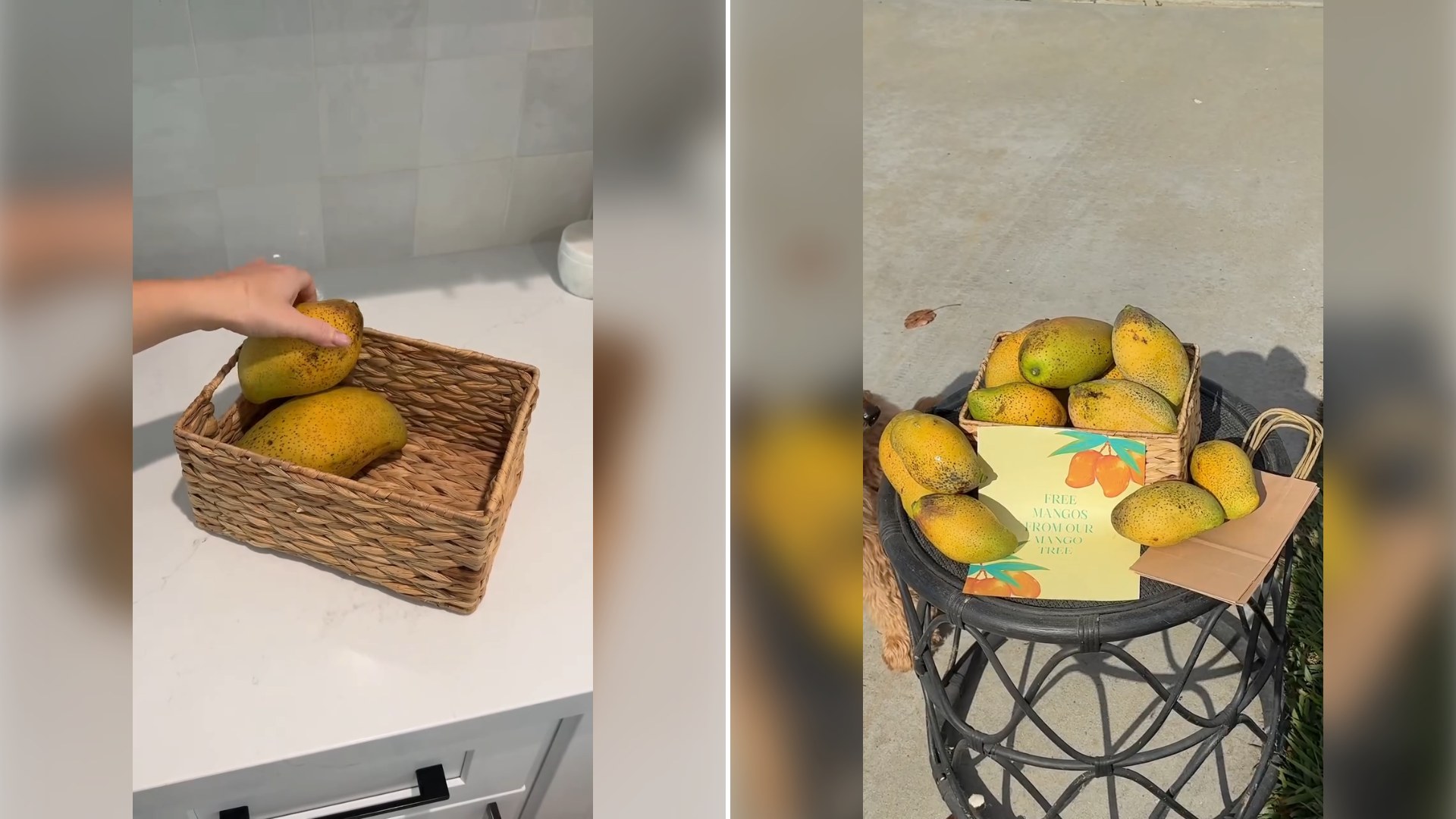 Two stills from an Instagram reel by @alessandrabrontsema.