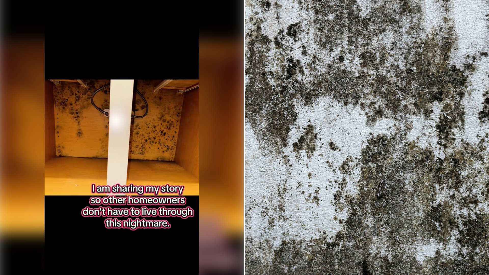 Left: cover still from a TikTok video by @ashthorloki. Right: a mold-stained concrete wall (Unsplash photo by Hydra 4x).