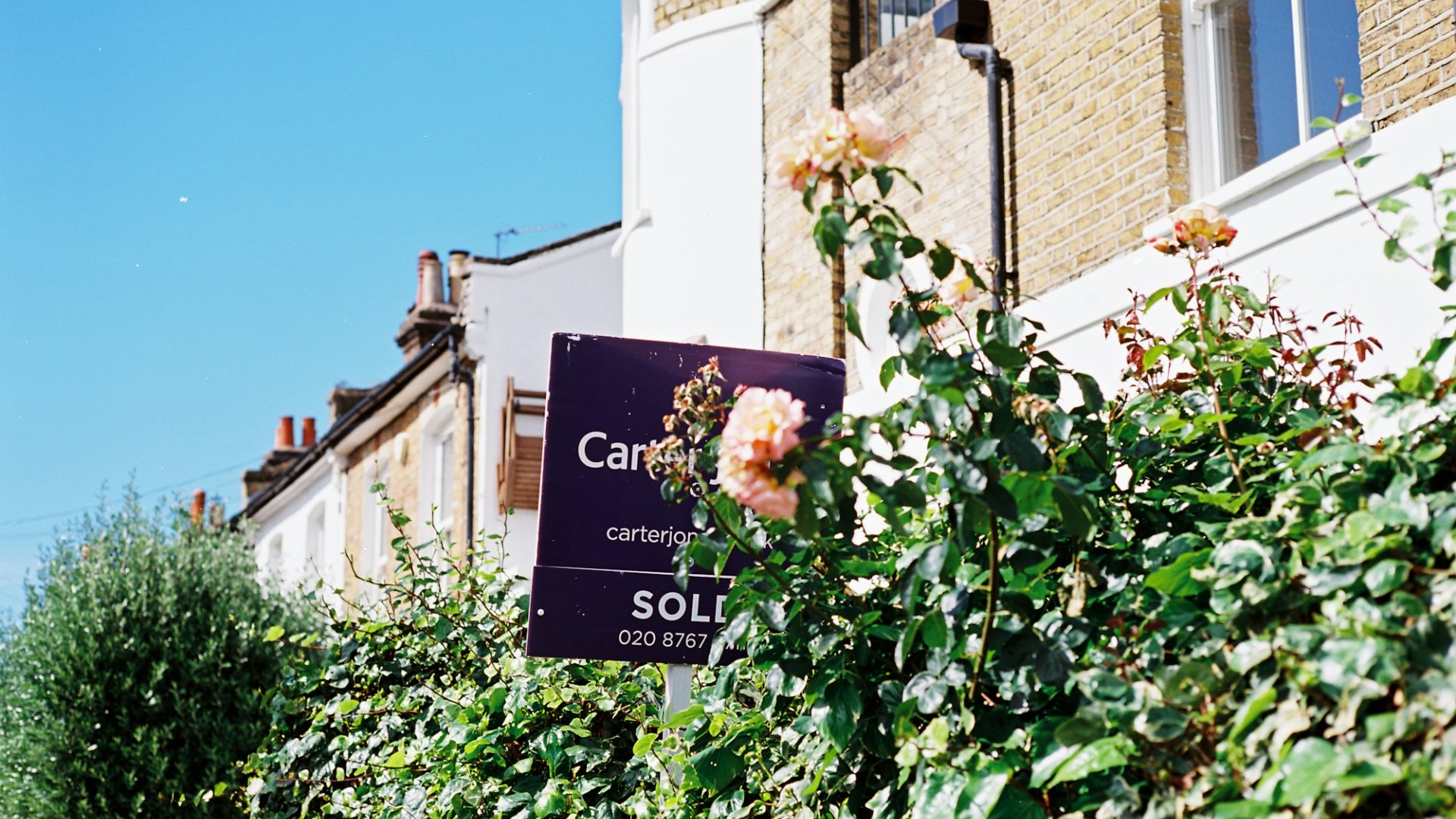 A sold sign and roses in front of a house. Photo by Bruce Barrow on Unsplash.