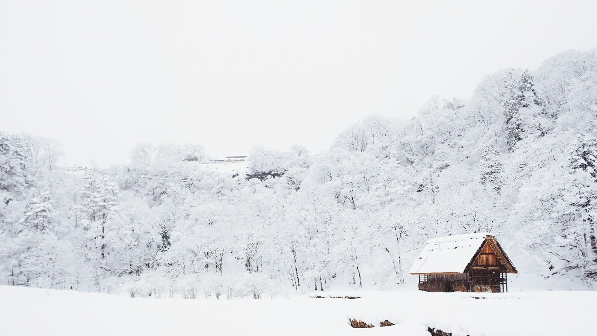 A snow-covered forest with a small cabin. Photo by Fabian Mardi on Unsplash.