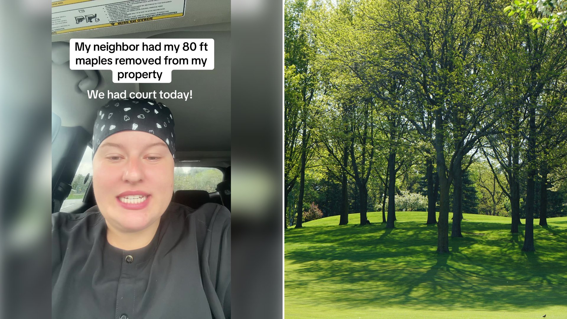 Left: cover still from a TikTok video by @theartofwahr. Right: Stand of tall green trees on a grass field in daytime (Unsplash photo by Beth Macdonald).