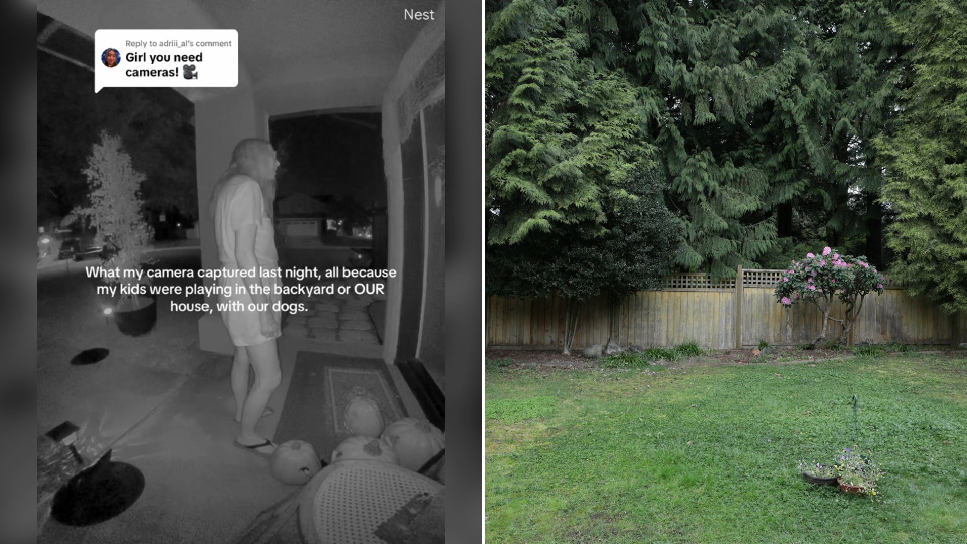 Cover of @baby.monimi's TikTok video beside an Unsplash photo by QY Liu of a backyard with a wooden fence and trees.