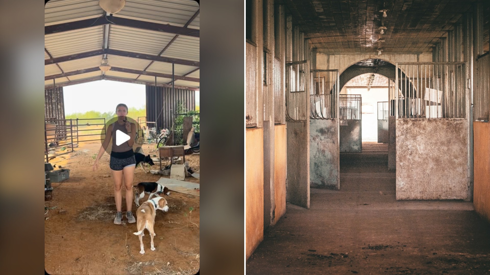 Woman Buys Property With a Horse Barn So Packed With Junk That It Took Her and Her Parents Three Full Days and a Dump Trailer to Empty Eight Stalls