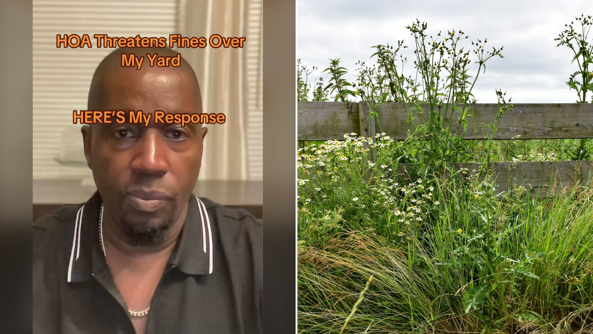 Georgia Homeowner Gets an HOA Letter Over Weeds in His Landscape Beds Threatening $50 a Day Fines, Then Reads His Fiery Reply Out Loud for Everyone to Hear