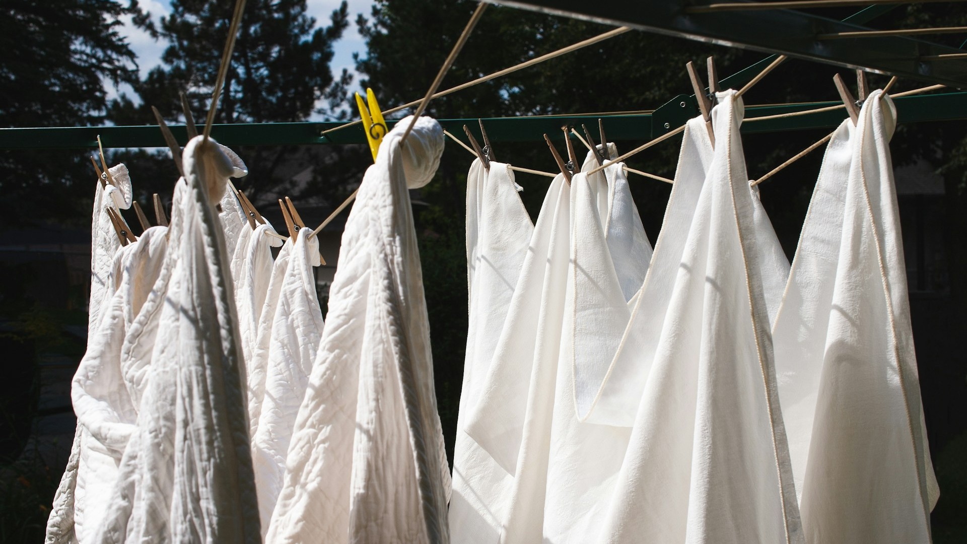 6 Old Fashioned Home Habits Boomers Swear By That Millennials Are Quietly Bringing Back, and the Last One Might Be Hanging Right Outside Your Back Door