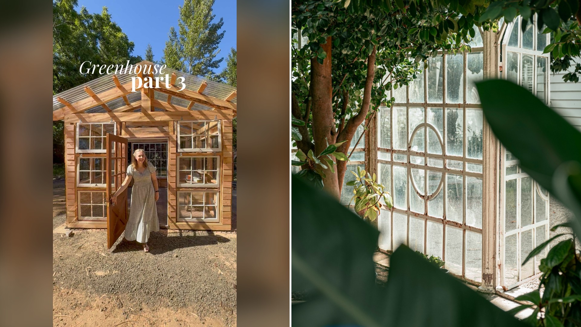 Split image with the cover of @theaverycottage's TikTok video, where she stands in the doorway of a wooden greenhouse built from old windows, on the left and an Unsplash photo by Nur demirbaş on the right showing an old greenhouse with large windows and greenery