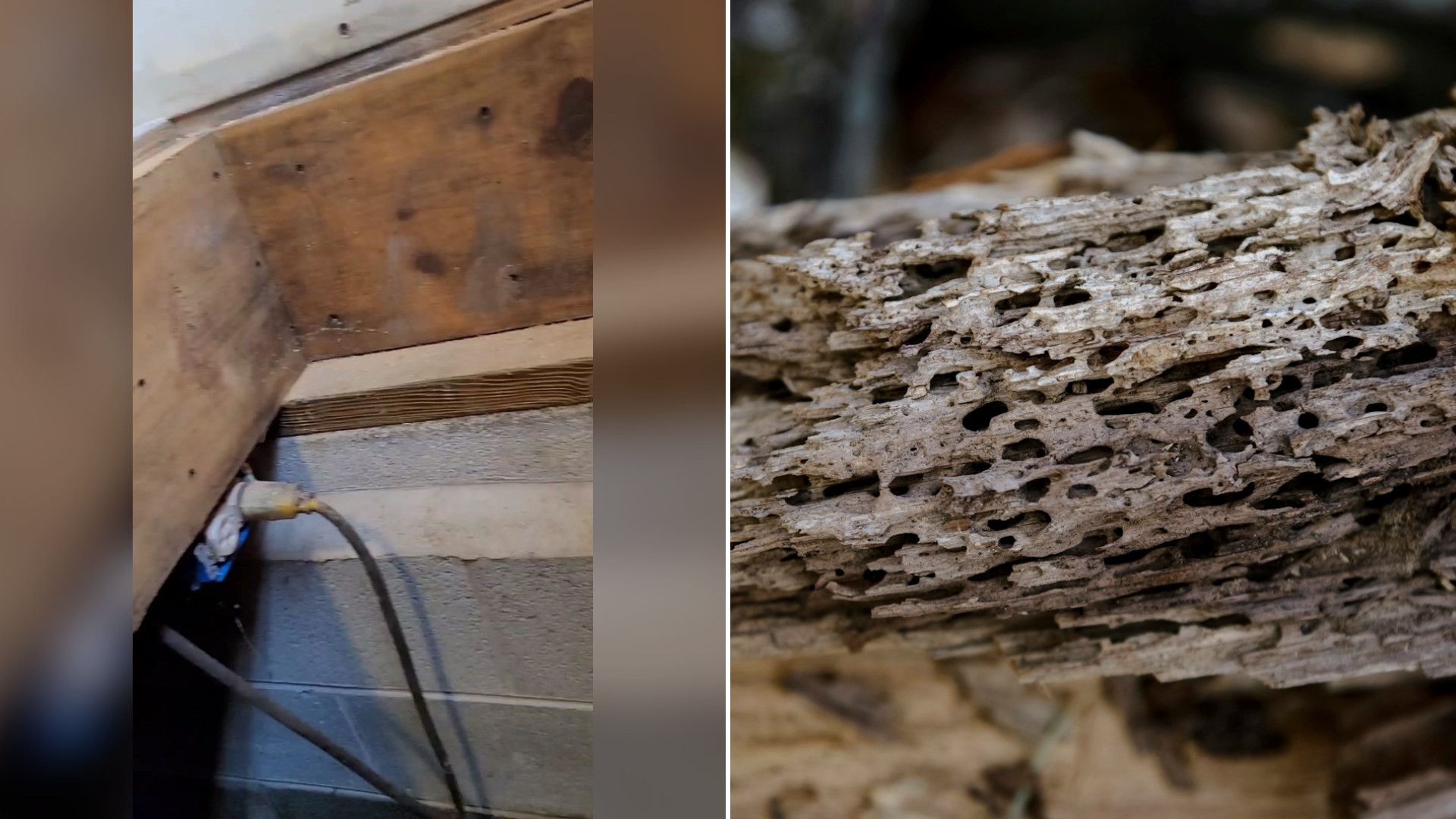 Cover of @thomasjoneshomes's TikTok video beside an Unsplash photo by malwina nogaj of a close-up of weathered insect-eaten wood