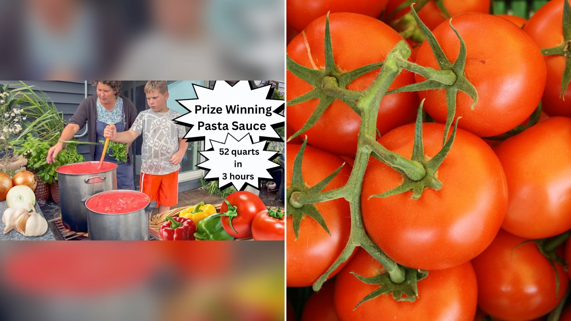 Thumbnail of @Ruthannzimm's YouTube video (left) beside an Unsplash photo by Lars Blankers of ripe red tomatoes seen from above.
