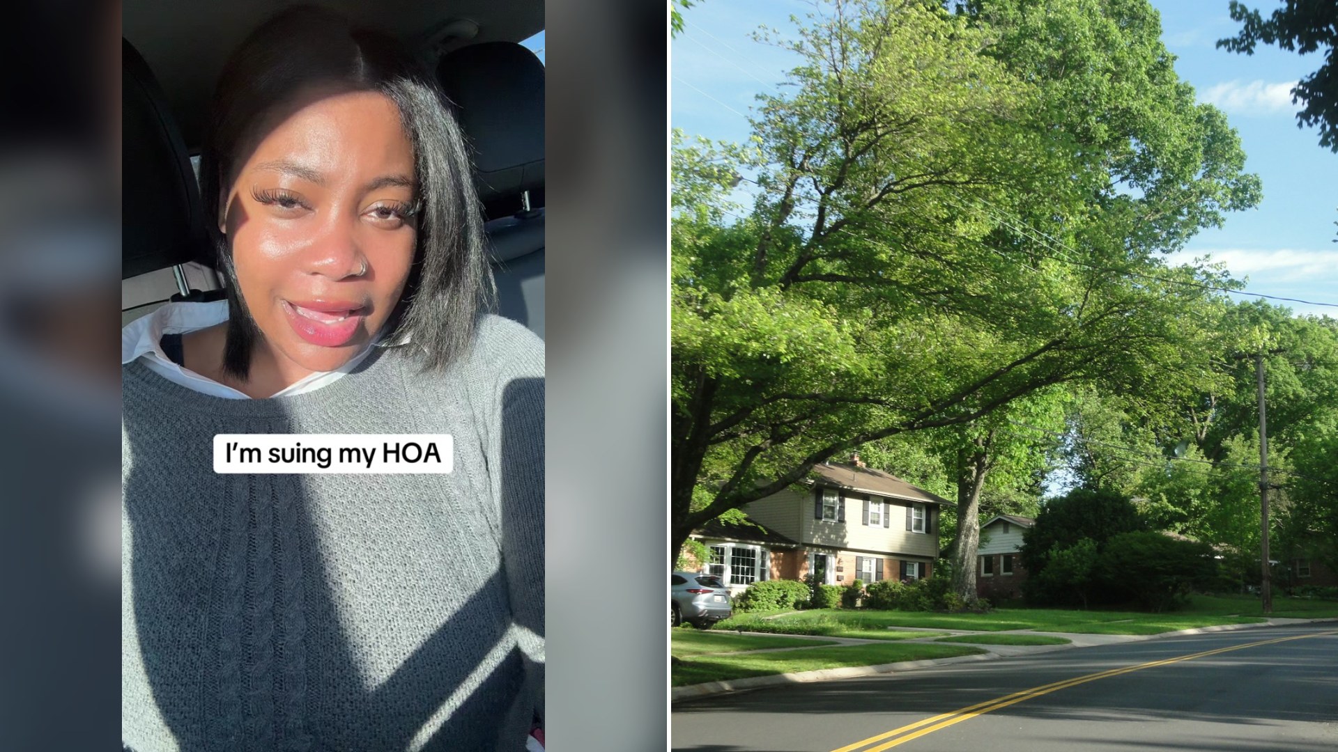 Cover of @dailydoseofdaja's TikTok video (left) beside an Unsplash photo by Kenneth Running of a residential street lined with large leafy trees.