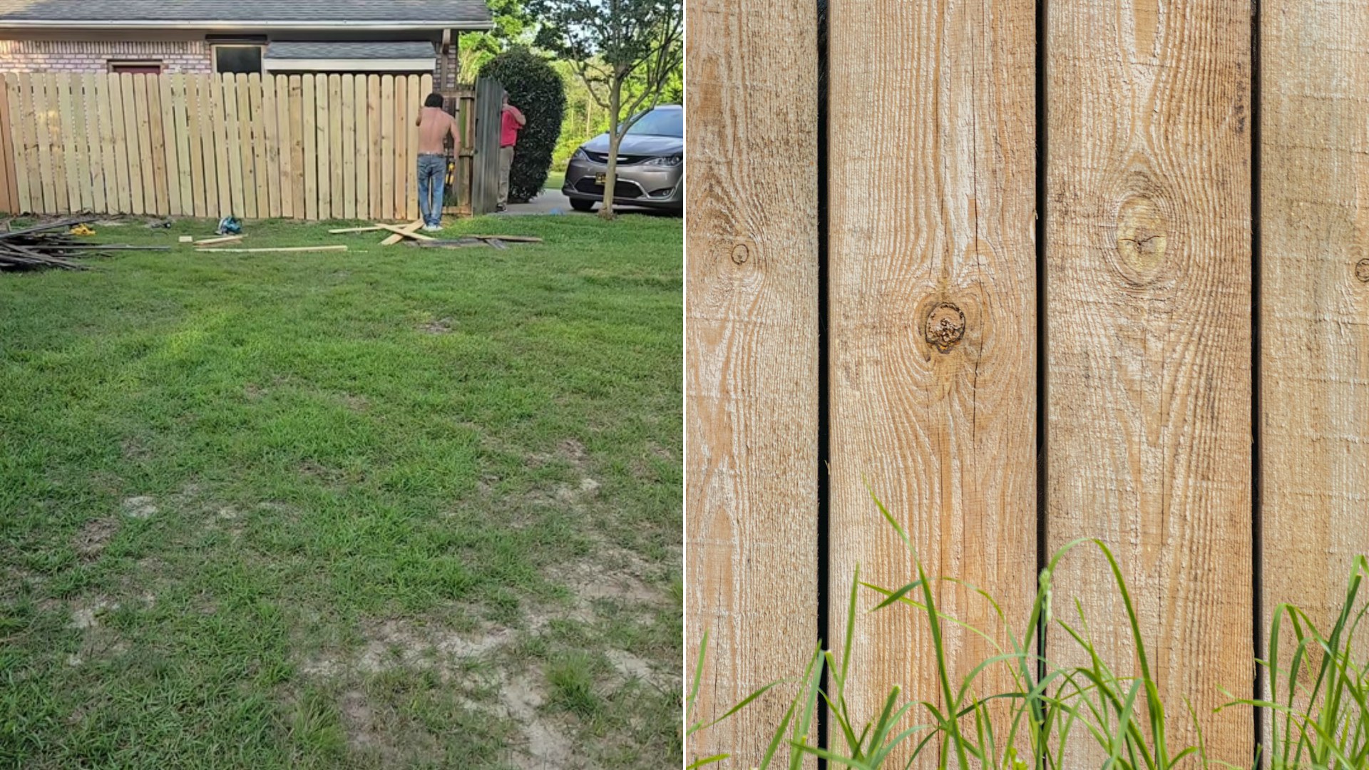 Cover of @giacreamer's TikTok video beside an Unsplash photo by Sergio Lapunin of green grass beside a brown wooden fence.