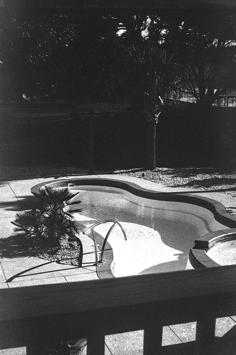Empty kidney-shaped swimming pool in a backyard with palm trees