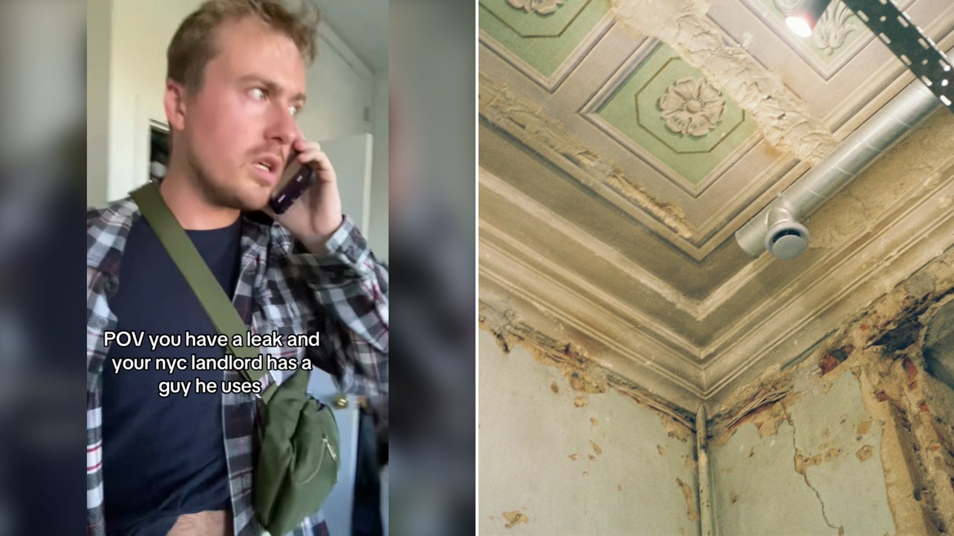 New York Renter Says Her Ceiling Has Leaked Every Day and When Someone Finally Came at 6 AM He Insisted There Was No Mold