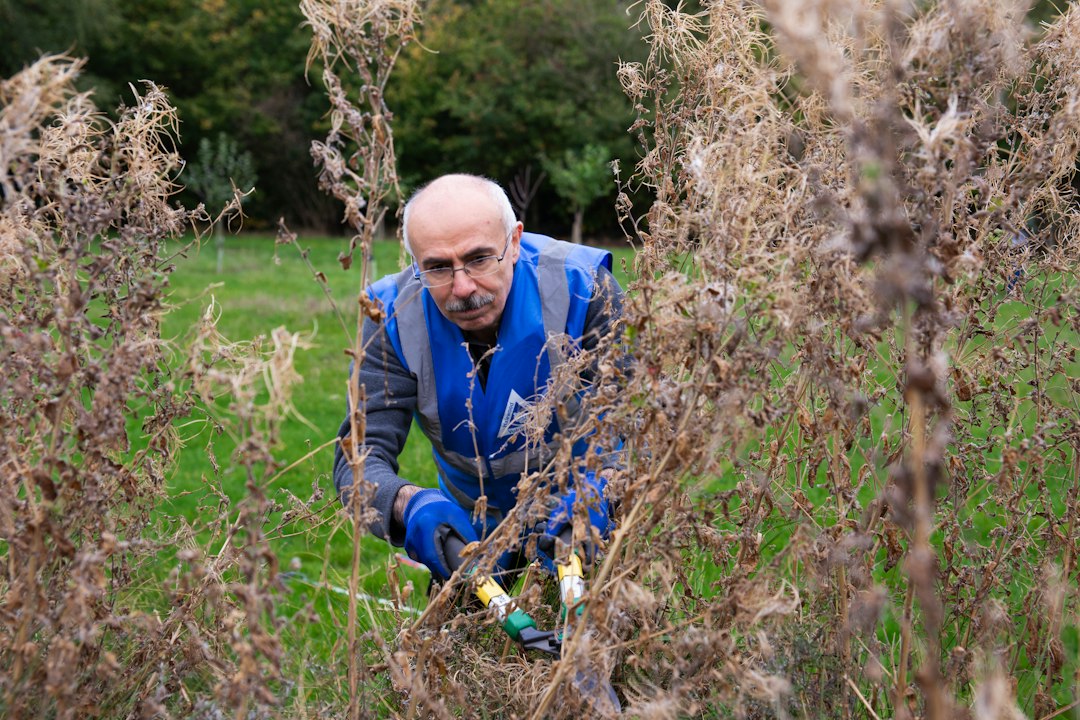 Person working on overgrown garden landscaping