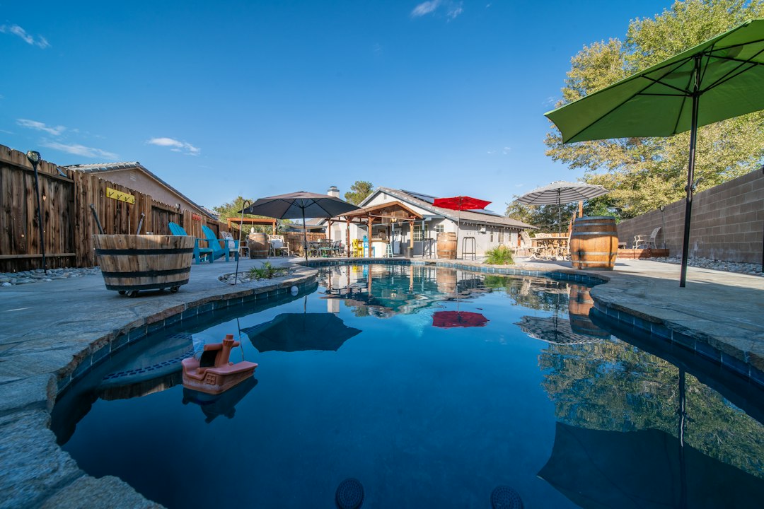 Backyard swimming pool with umbrella