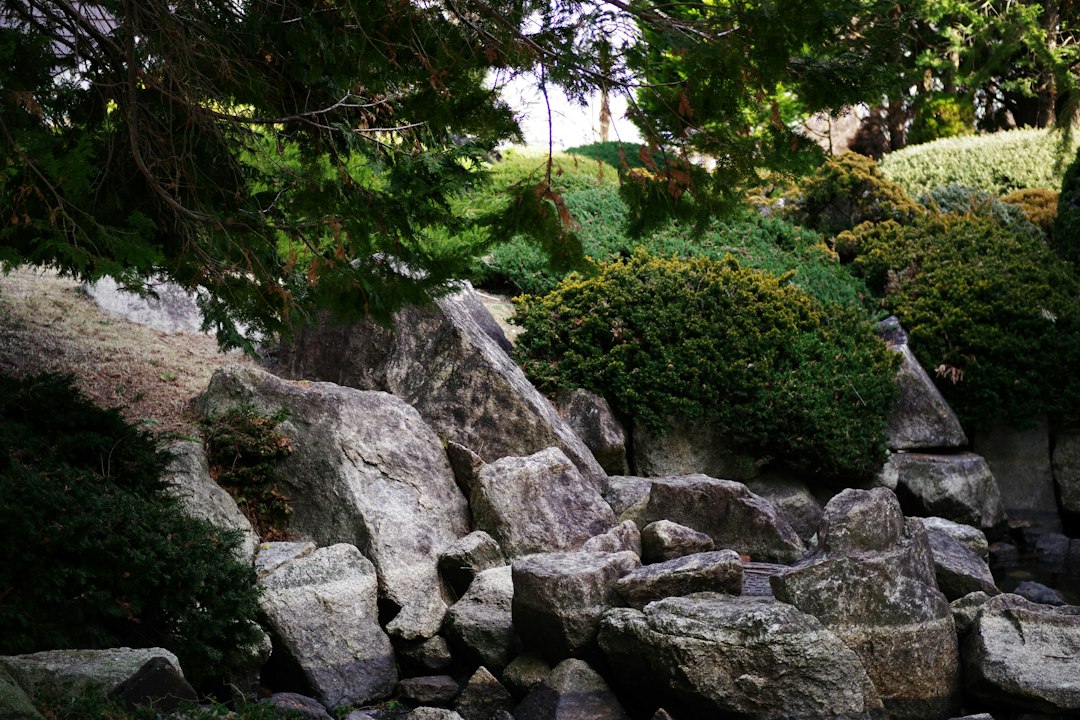 Low-maintenance rock garden landscaping