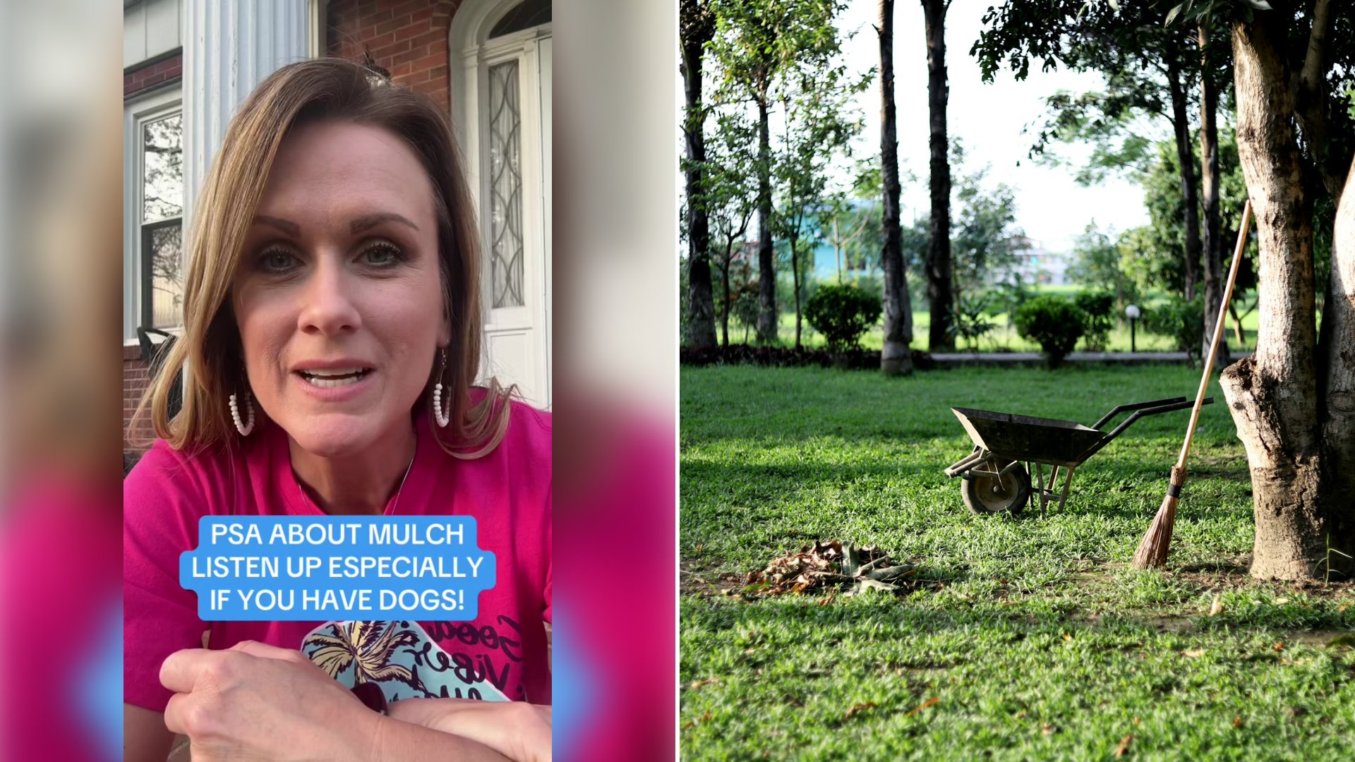 Left: cover still from a TikTok video by @smalltownalabamagirl. Right: a wheelbarrow on a lawn near trees (Unsplash photo by Nagesh Badu).
