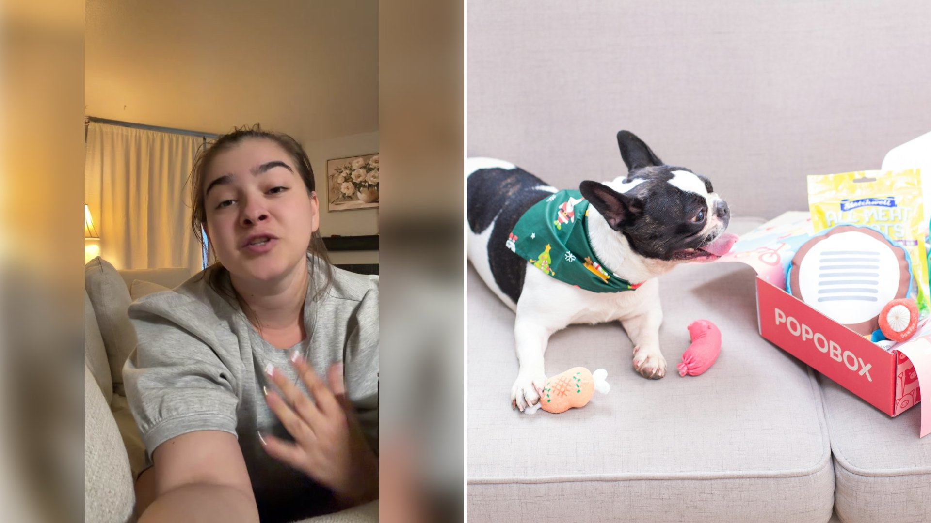 Left: cover still from a TikTok video by @karli_breanne. Right: a French bulldog with a box of toys and treats (Unsplash photo by Jing Ma).