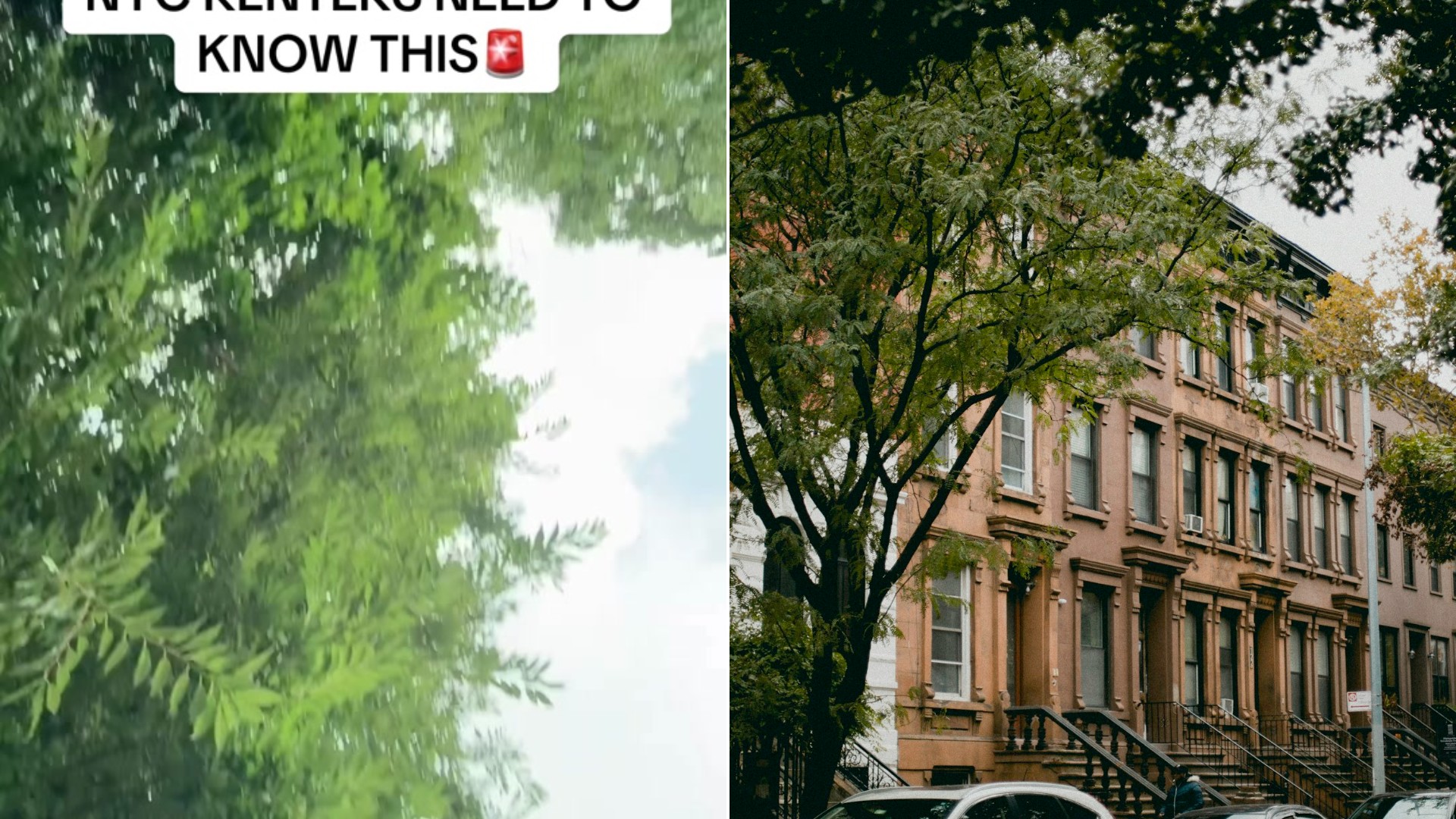Three New York City Laws Every Renter Should Know Before Signing a Lease Including Broker Fees Being Illegal W